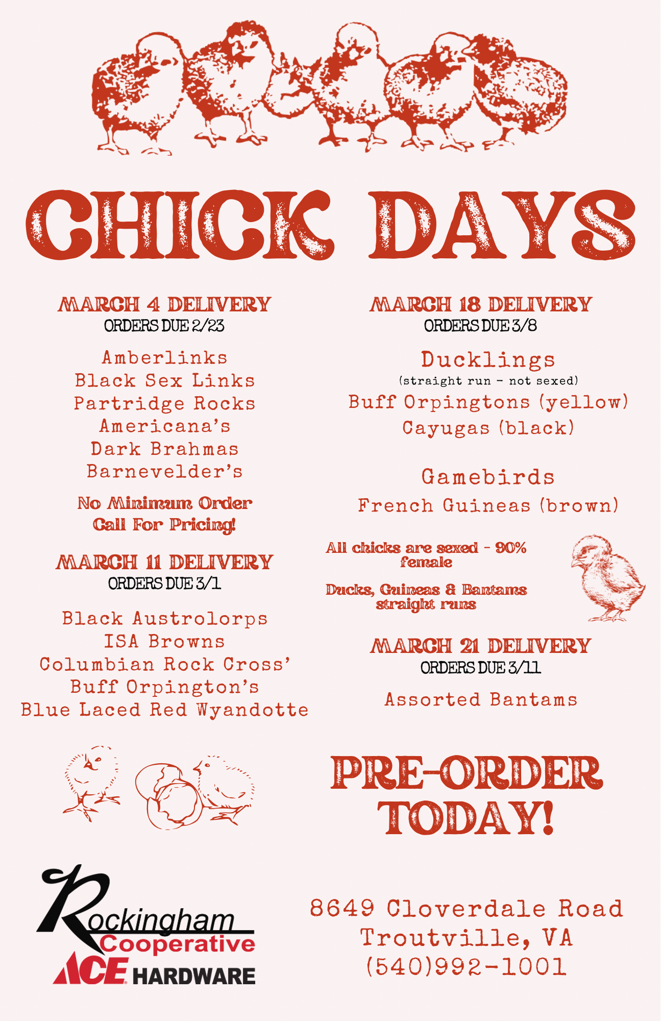 Chick Days - Rockingham Cooperative